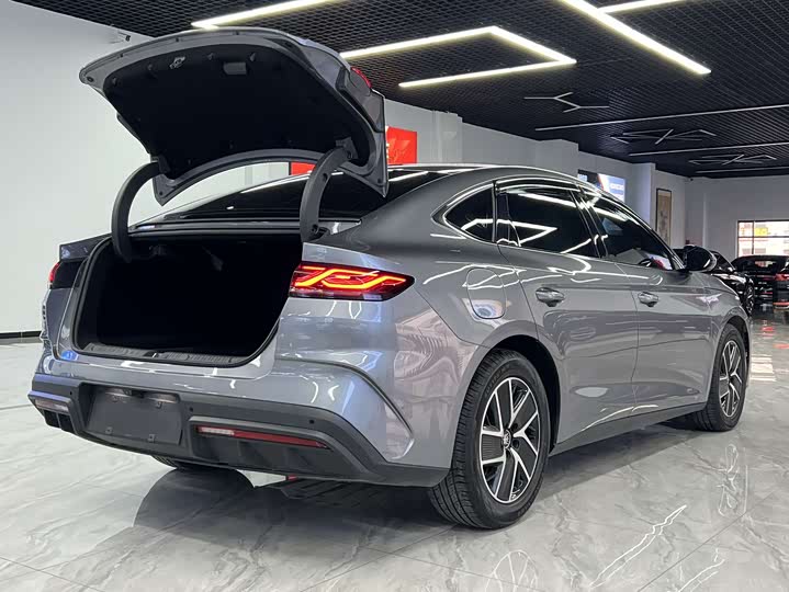 Фото 4 - BYD Qin L