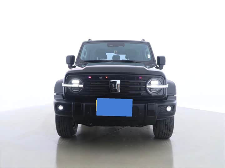 Фото 2 - Tank 300