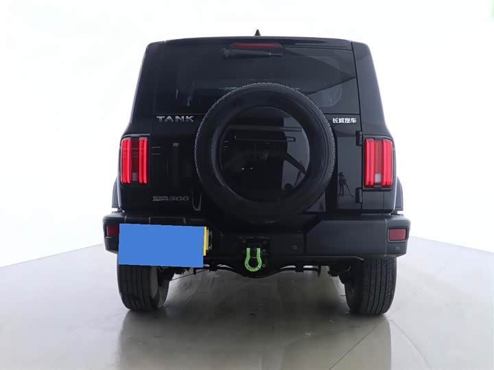 Фото 3 - Tank 300