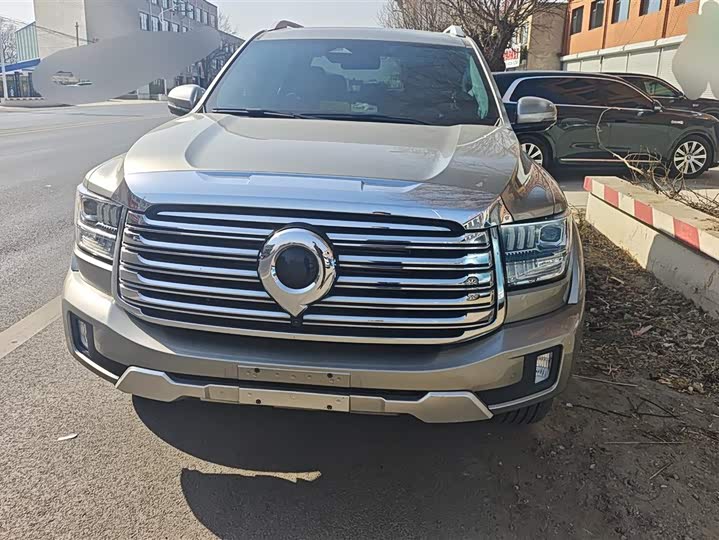 Фото 2 - Great Wall Shanhai Poer