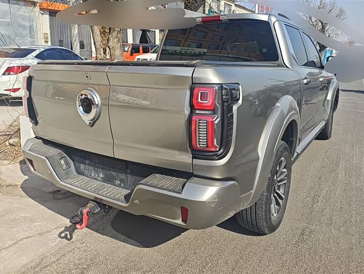 Фото 3 - Great Wall Shanhai Poer