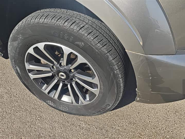 Фото 6 - Great Wall Shanhai Poer