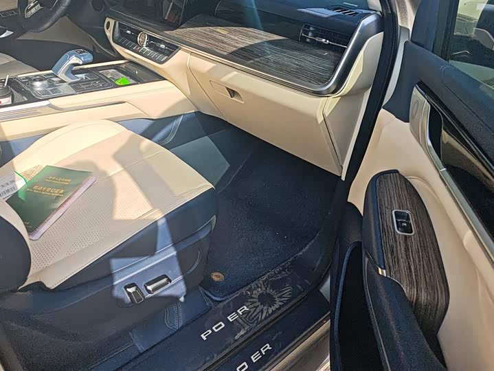 Фото 8 - Great Wall Shanhai Poer