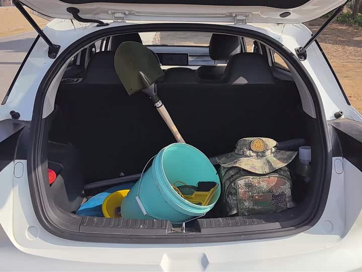 Фото 4 - Geely Geometry E Firefly