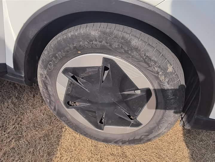 Фото 6 - Geely Geometry E Firefly