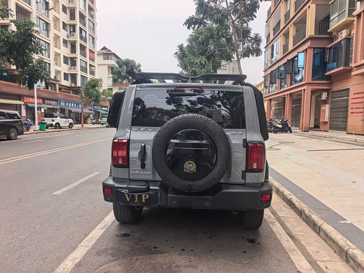 Фото 8 - Tank 300