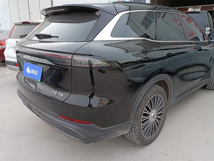 Фото 3 - Chery Fulwin T9