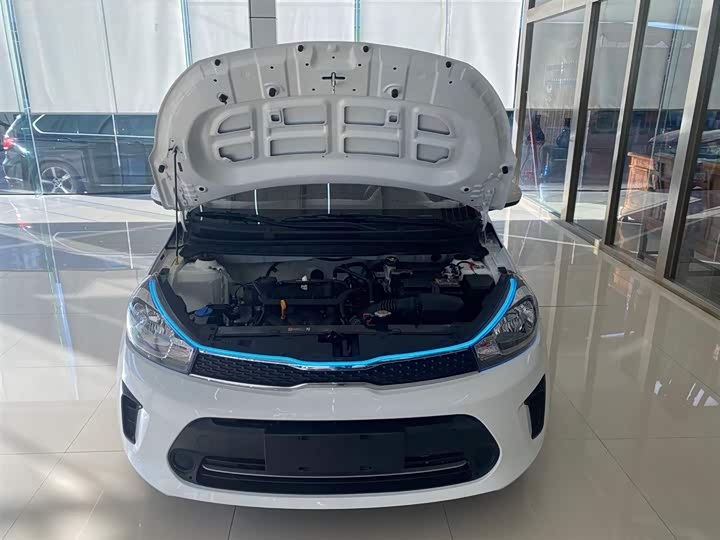 Фото 7 - Kia Pegas