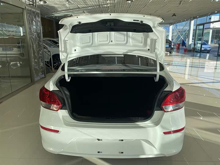 Фото 8 - Kia Pegas