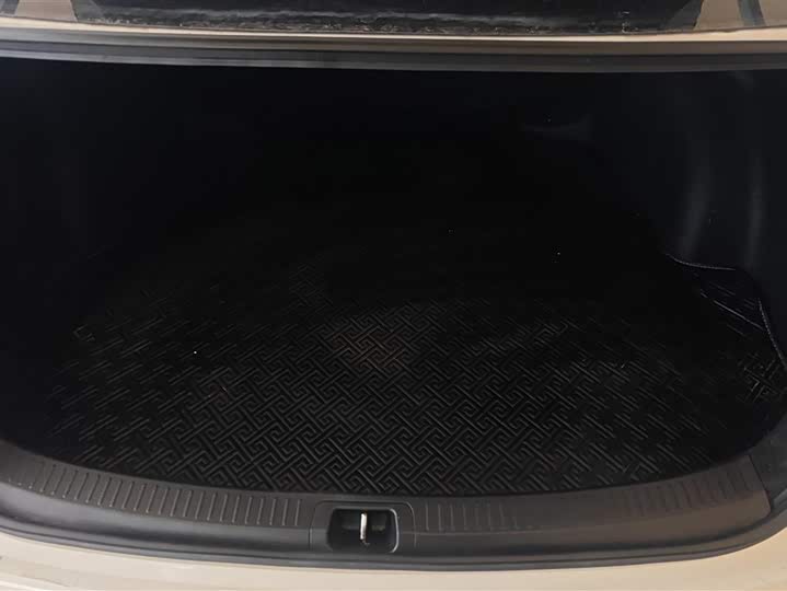 Фото 4 - Toyota Levin