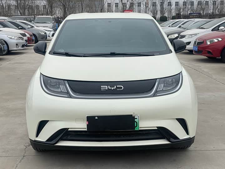 Фото 2 - BYD Dolphin