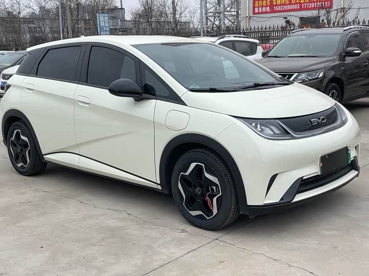 Фото 3 - BYD Dolphin
