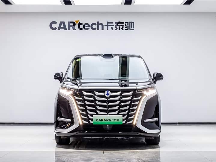 Фото 1 - Denza D9