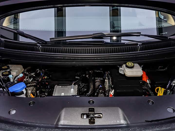 Фото 4 - Denza D9