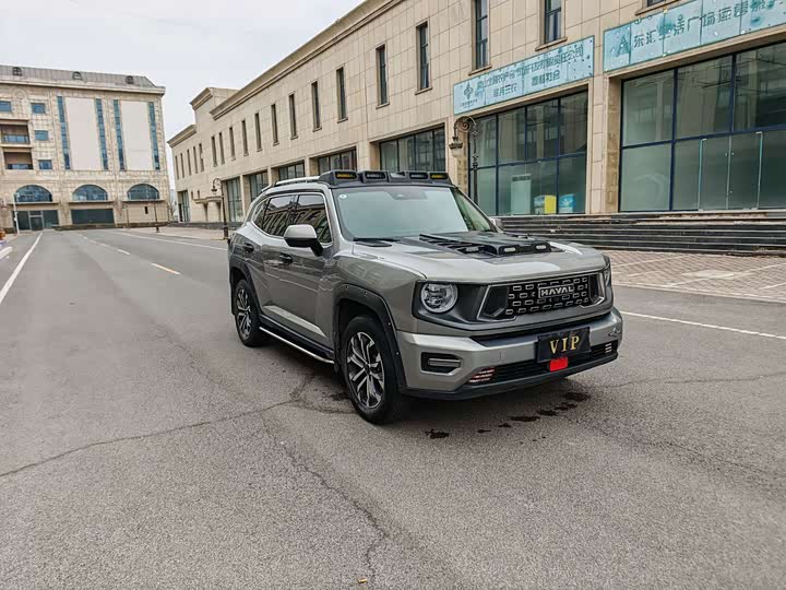 Фото 4 - Haval H-Dog