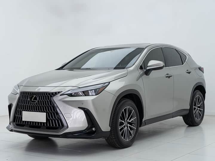 Фото 1 - Lexus NX