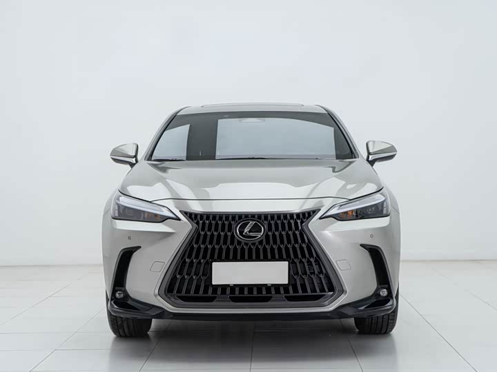Фото 2 - Lexus NX