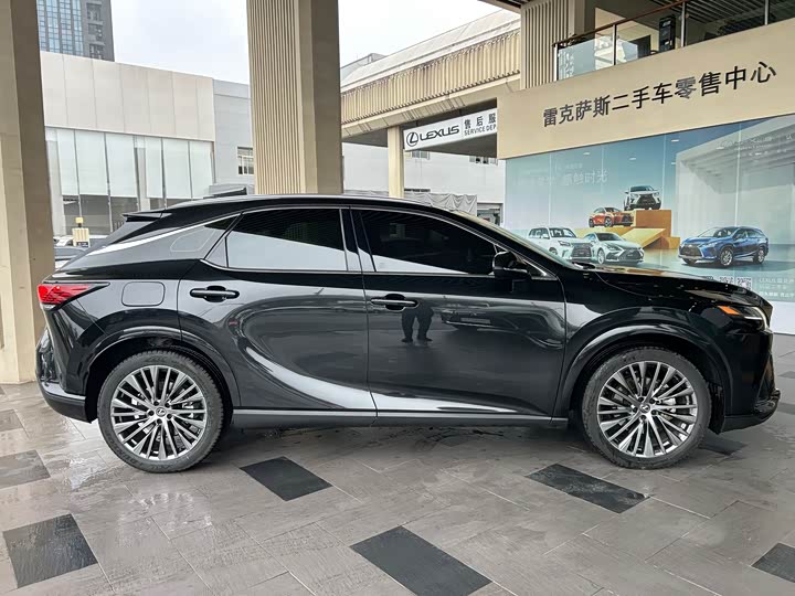 Фото 3 - Lexus RX Hybrid