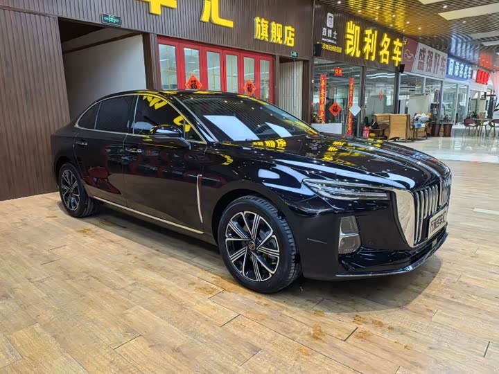 Фото 3 - Hongqi H5 Hybrid