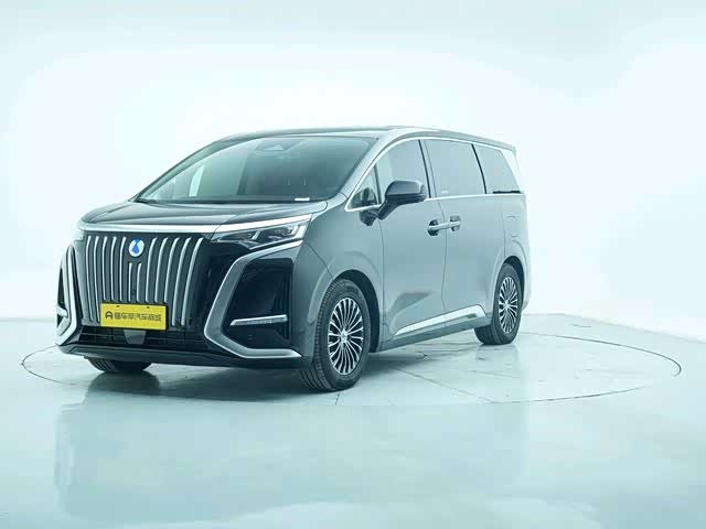 Фото 1 - Denza D9