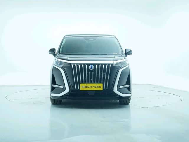 Фото 2 - Denza D9