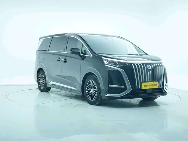 Фото 3 - Denza D9