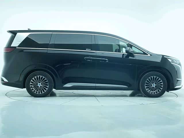 Фото 4 - Denza D9