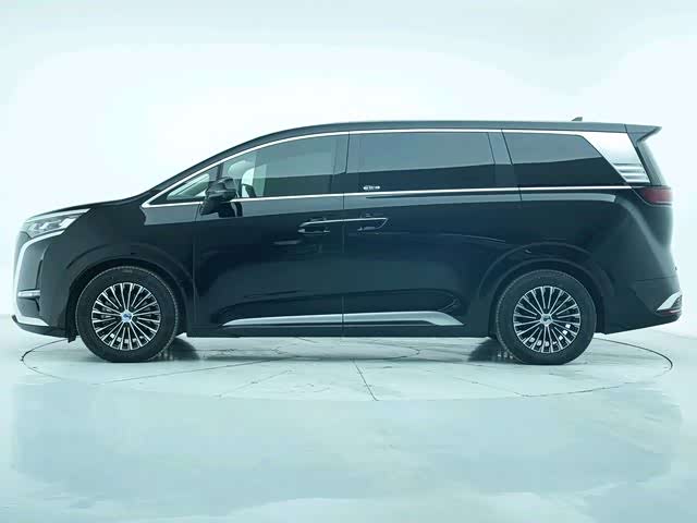 Фото 8 - Denza D9