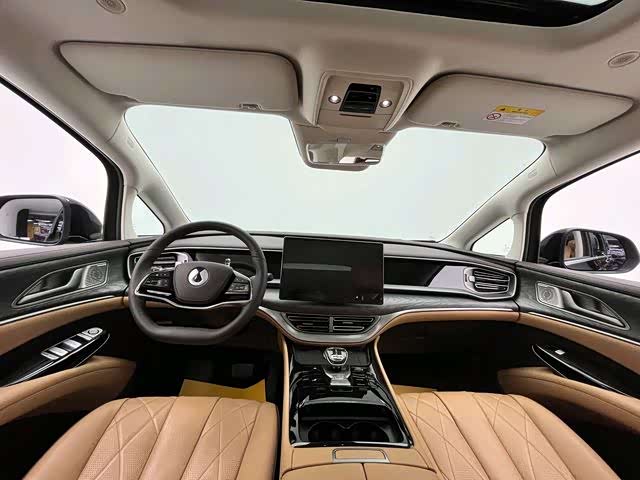 Фото 9 - Denza D9