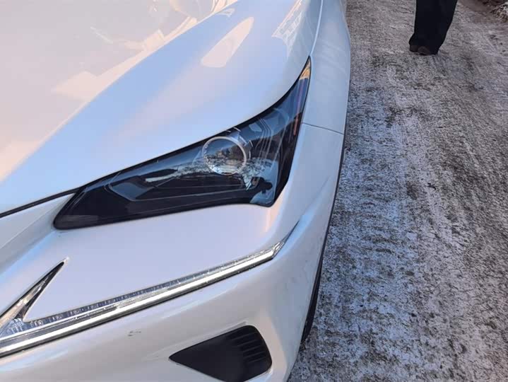 Фото 5 - Lexus NX