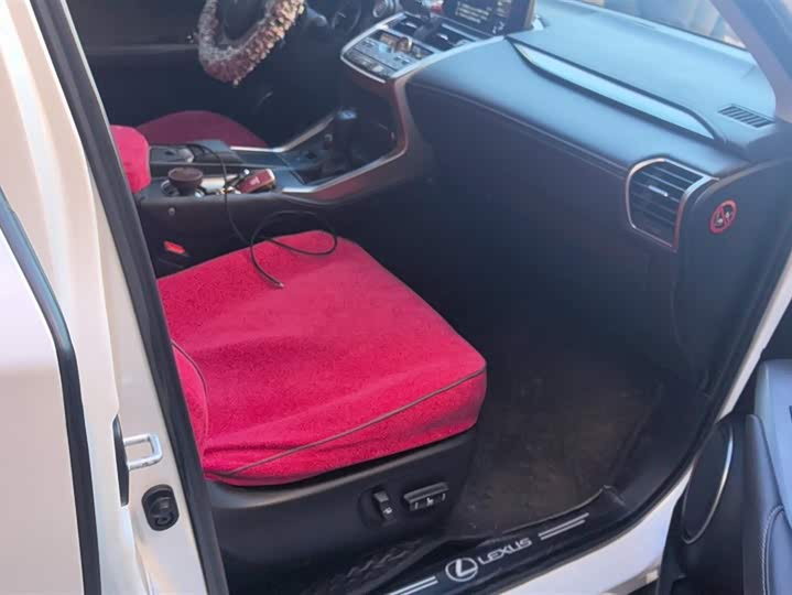 Фото 8 - Lexus NX