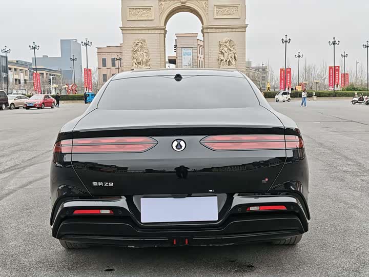 Фото 8 - Denza Z9