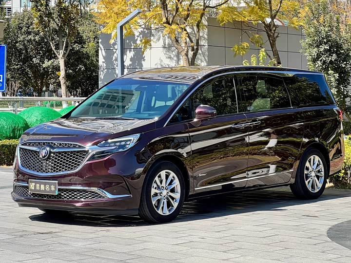 Фото 1 - Buick GL8 ES