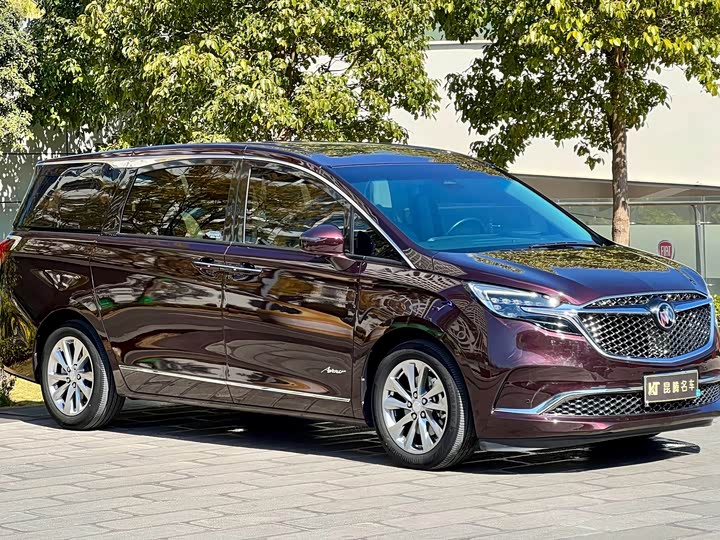 Фото 3 - Buick GL8 ES