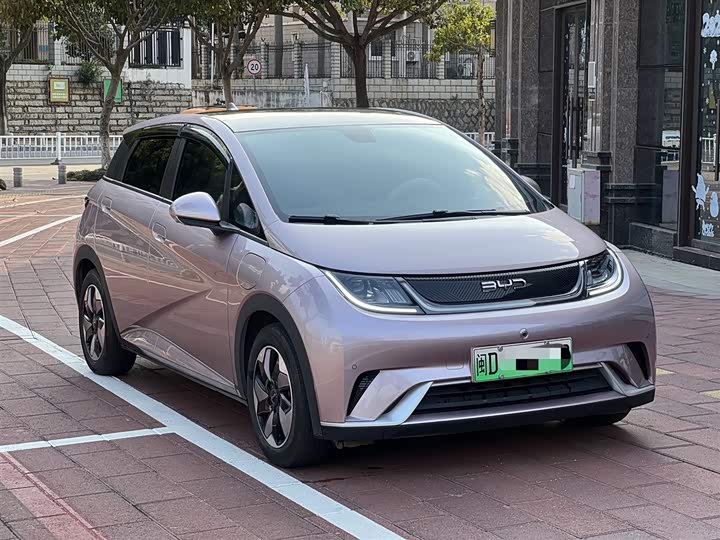 Фото 2 - BYD Dolphin