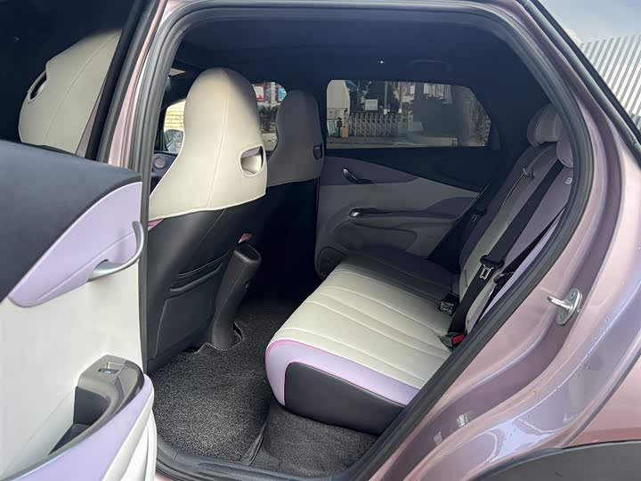 Фото 3 - BYD Dolphin