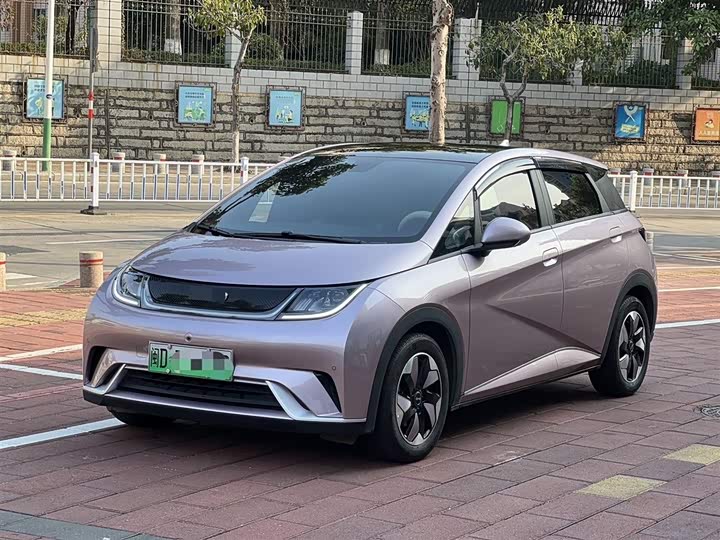 Фото 6 - BYD Dolphin