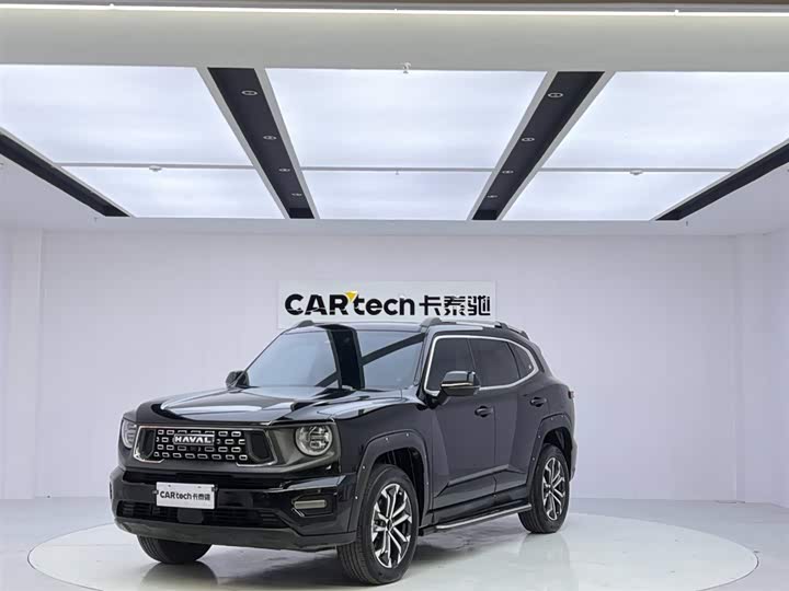 Фото 1 - Haval H-Dog