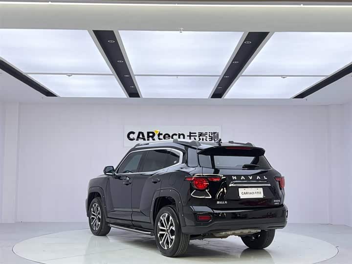 Фото 3 - Haval H-Dog