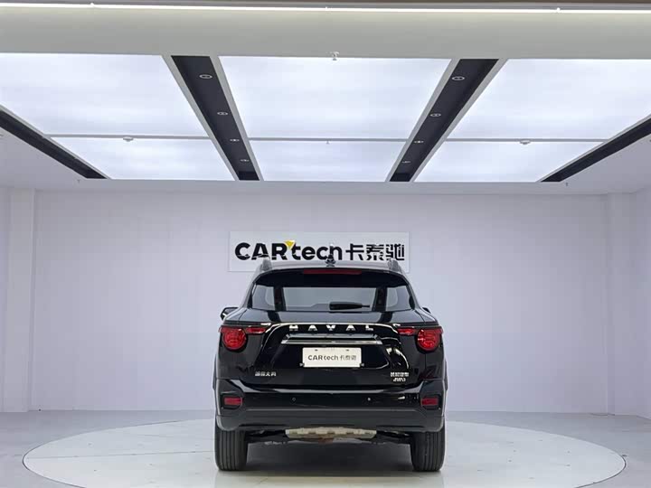 Фото 4 - Haval H-Dog