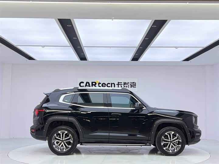 Фото 6 - Haval H-Dog