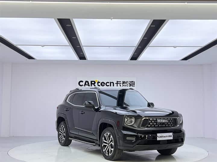 Фото 7 - Haval H-Dog