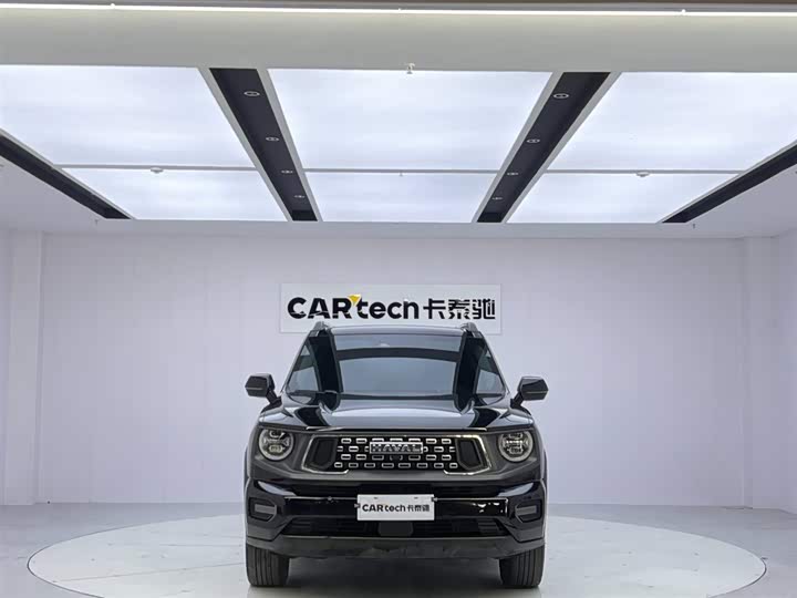 Фото 8 - Haval H-Dog