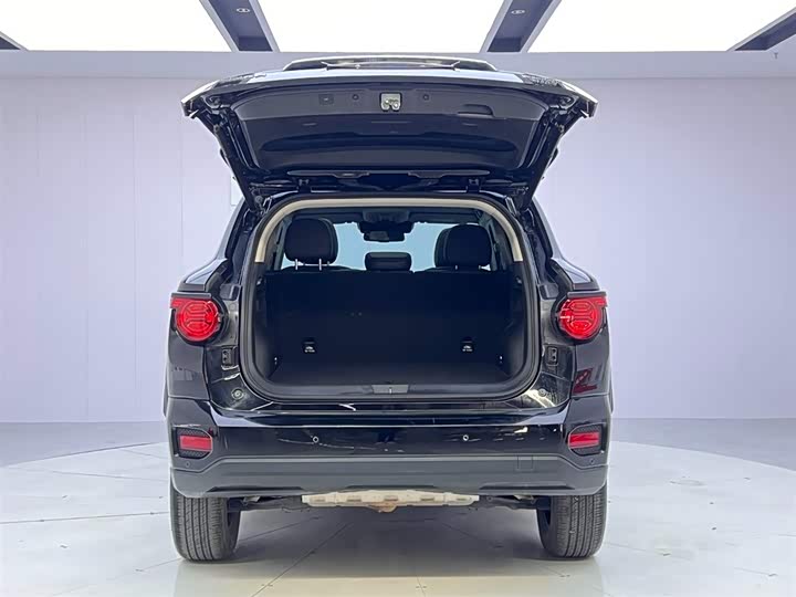 Фото 9 - Haval H-Dog