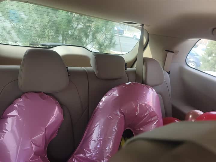 Фото 4 - Buick GL8 Hybrid