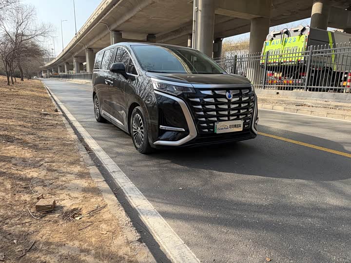 Фото 2 - Denza D9