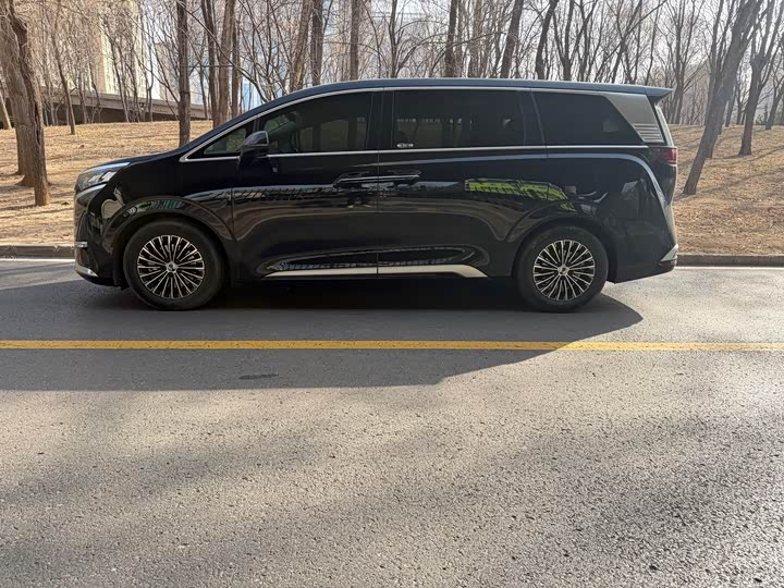 Фото 4 - Denza D9