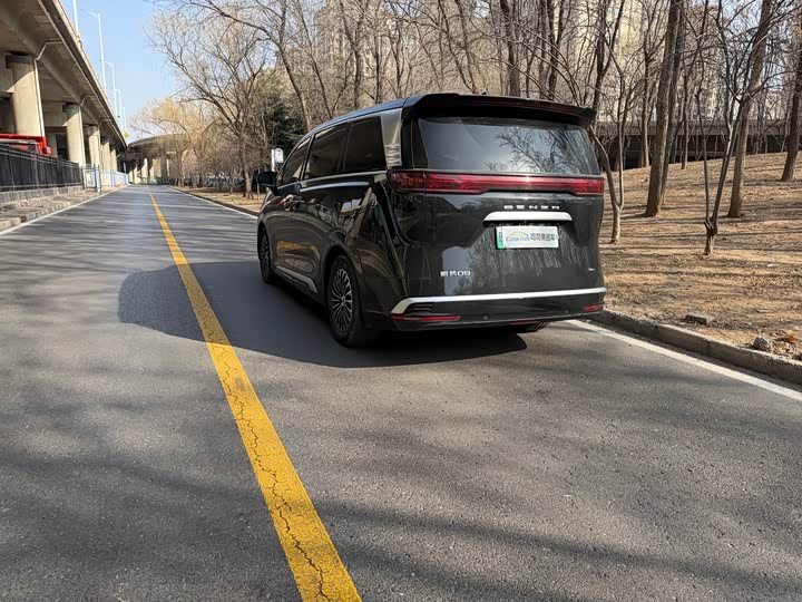 Фото 5 - Denza D9