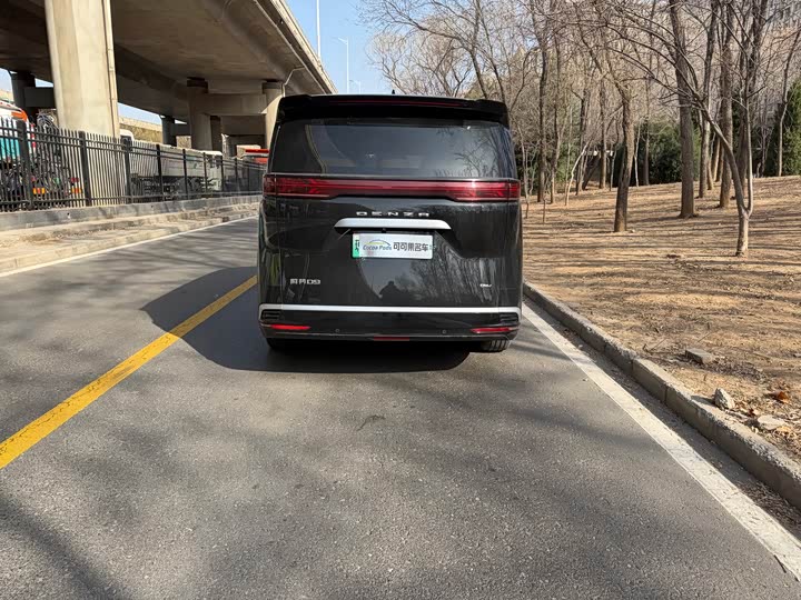 Фото 6 - Denza D9