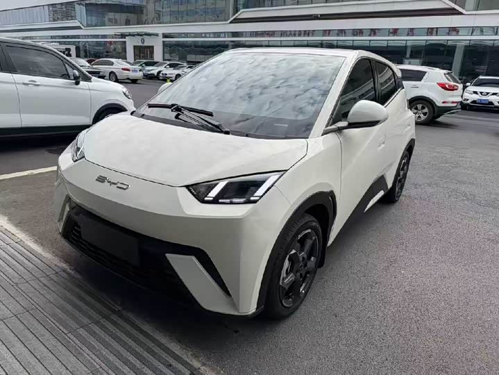 Фото 1 - BYD Seagull